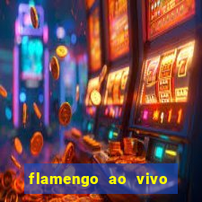 flamengo ao vivo hd play